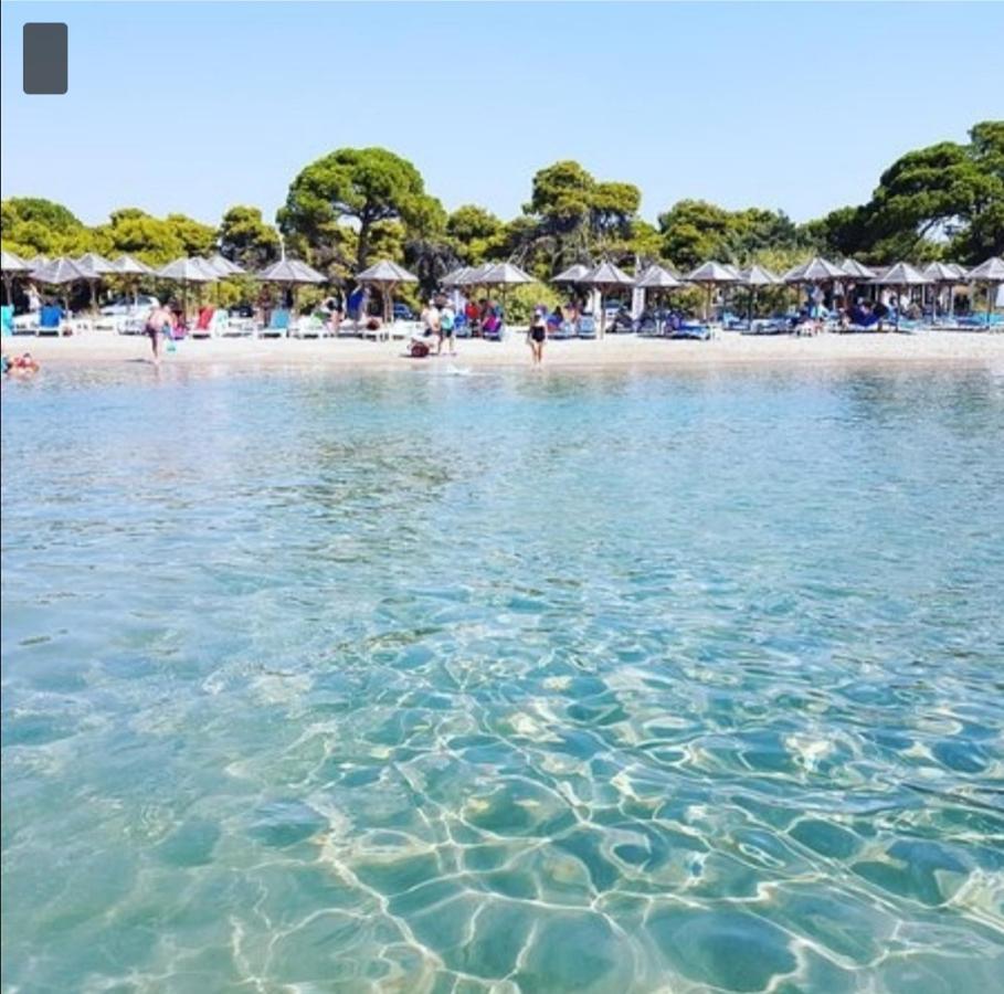 Athens Villa Artemis Pool Sea Airport Extérieur photo